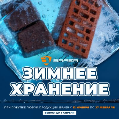 Акция BRAER Зимнее хранение